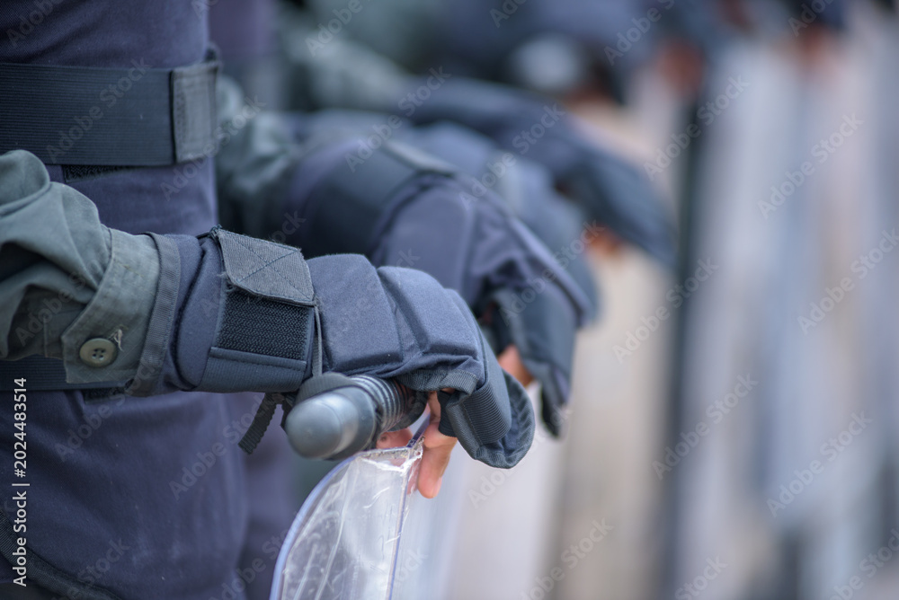 Fototapeta premium Riot police training annual review 