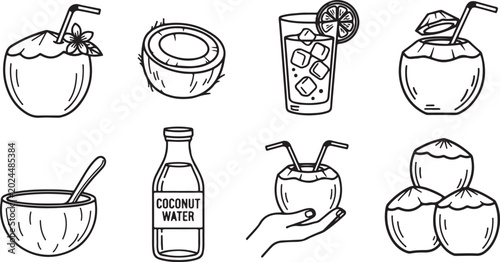 Vászonkép Coconut fruit with water on white background vector illustration Vector