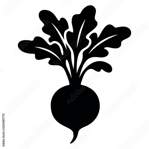  Radish black vector illustration silhouette sticker isolated on white background.