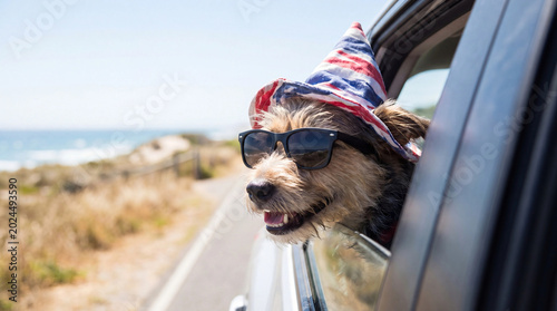 Dog riding in car with patriotic party hat for Fourth of July road trip, summer travel, holiday pet lifestyle, and vacation design