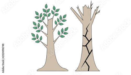 Healthy green leafy tree stands next to a broken, damaged tree with visible cracks symbolizing destruction.