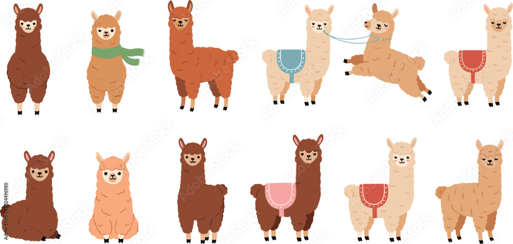 Fototapeta premium cute llama and alpaca vector icon set featuring fluffy farm animal characters wearing colorful blankets and scarves