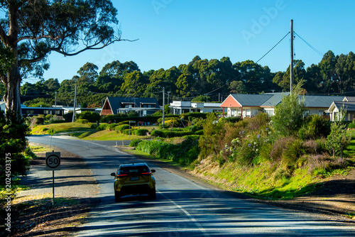 Quadro su tela Safety Cove Road in Port Arthur - Tasmania