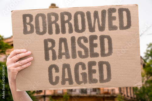 Photos "Borrowed Raised Caged" Children raised by screens borrowers trapped by debt and voters caged by fake choice