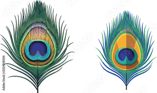 Peacock feather illustration set, colorful eye pattern plumage, realistic and stylized design, isolated vector artwork on white background