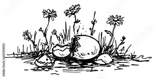 Broken eggshells among daisies in field of grass hand drawn sketch style