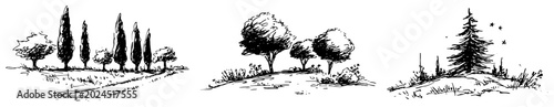 Photos Landscape scenery set with cypress trees deciduous trees and pine tree hand draw