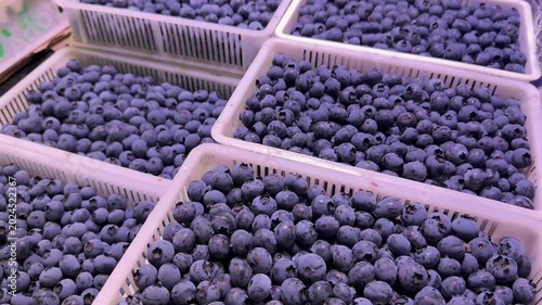 Blueberries in trays at the market. Fresh summer berries