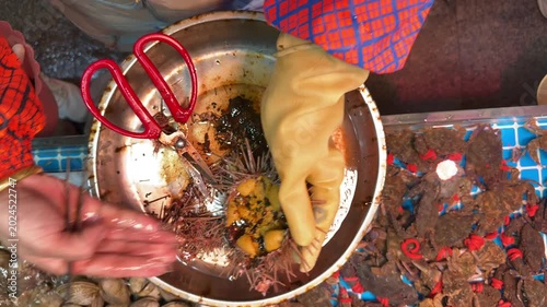 Fresh sea urchin cleaning. Top view