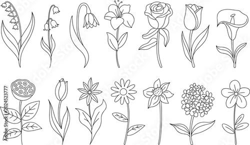 Elegant collection of minimalist clean black and white botanical line art drawings featuring various flowers on white background.