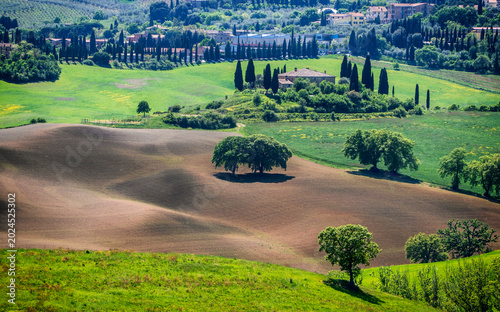 Landschaft an der Panoramastraße zwischen den toskanischen Dörfern San Quiricio und Pienza, Toskana, Italien, Europa