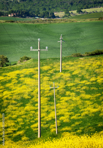 Stromleitungen mit kleinen Masten inmitten der Landschaft an der Panoramastraße zwischen den toskanischen Dörfern San Quiricio und Pienza, Toskana, Italien, Europa