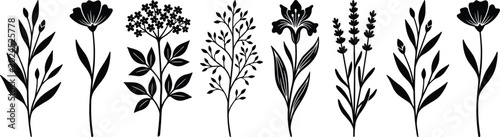 Photos Collection of hand drawn black floral silhouettes featuring minimalist wildflowe