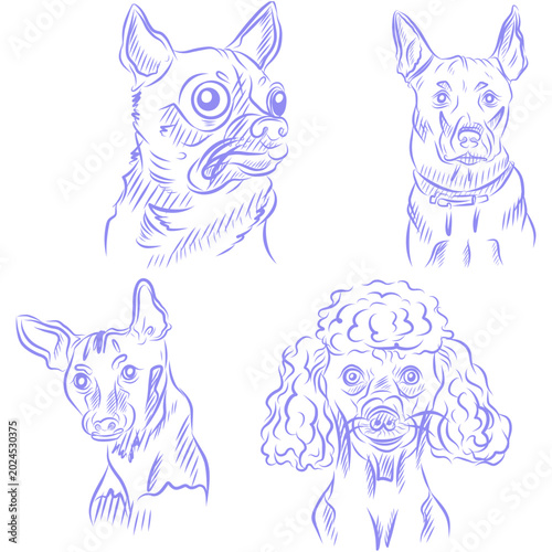 Vector set of hand drawn sketch, dog portrait, purple line art on white background