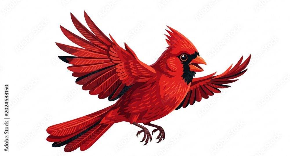 Fototapeta premium Premium cartoon cardinal bird in flight vector illustration isolated on white background