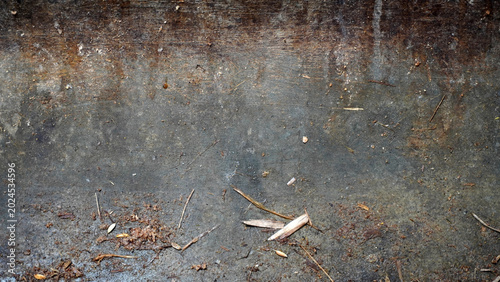 Tableau sur toile A close-up of a weathered concrete or metal wall showing rust stains, dirt, and organic debris like twigs and dried leaves