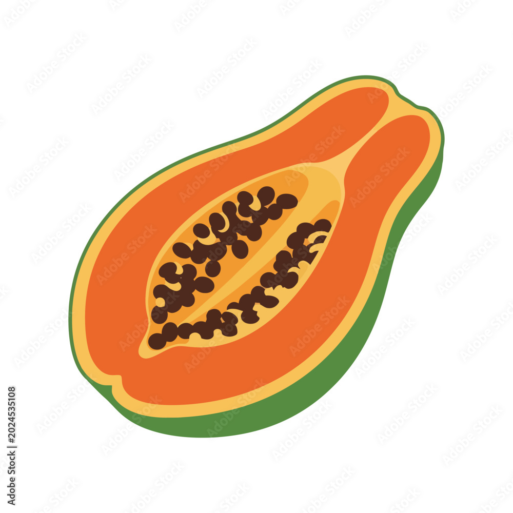 Fototapeta premium Papaya Slice Vector Illustration with Ripe Tropical Fruit Cross Section and Seed Detail