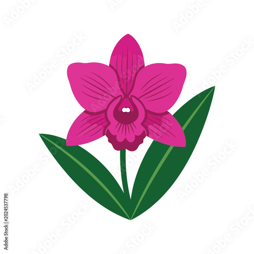 Bild auf Leinwand Pink Orchid Flower Vector Illustration with Green Leaves Botanical Clipart Icon
