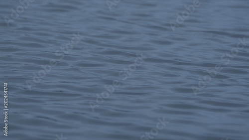 風に揺れる水路の水面