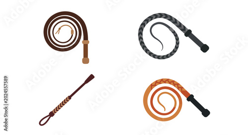 Foto whips collection flat vector illustration on white background