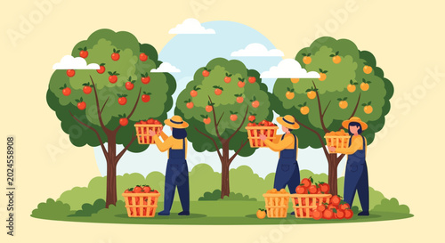 Photos Farmers harvesting apples in an orchard during autumn season.