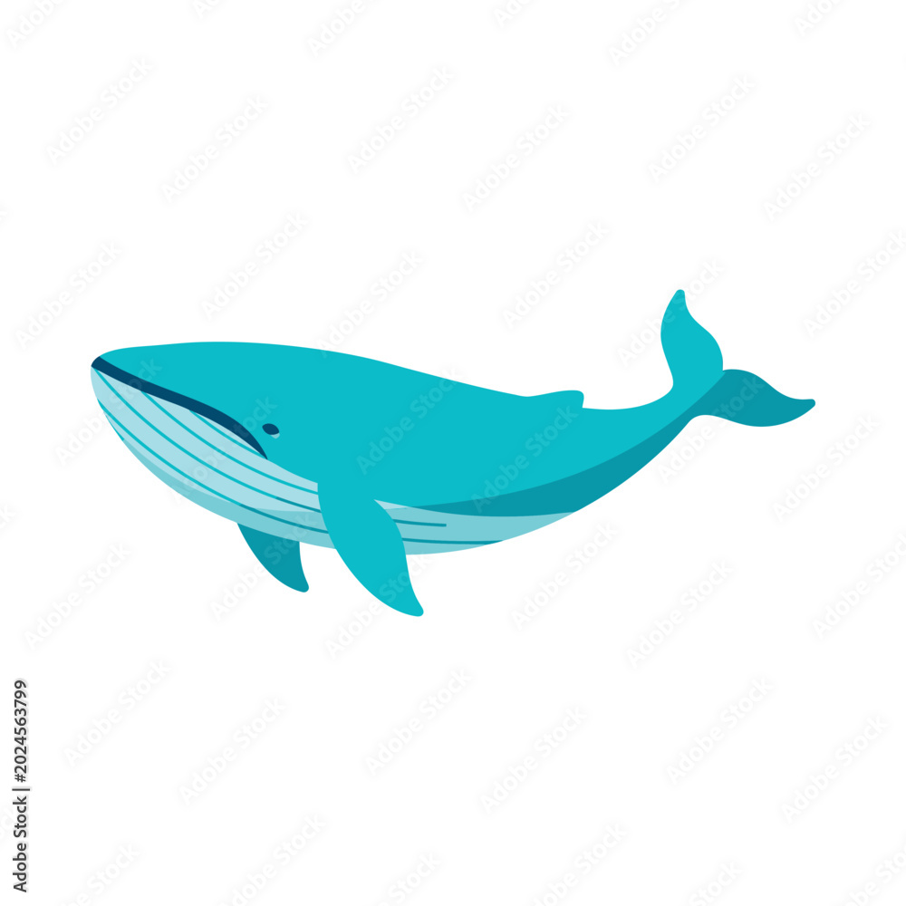 Fototapeta premium A large blue whale swims through calm ocean waters in a natural environment.