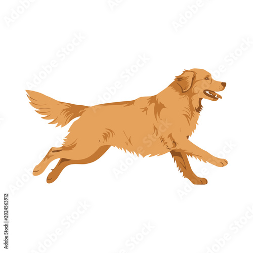 A dog runs quickly across a field with its tail up high