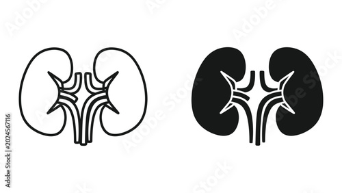 Фотография Human kidneys illustration with healthy and affected comparison