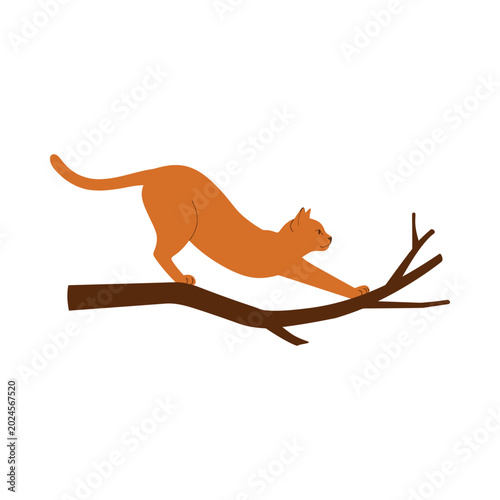 An orange cat stretches on a tree branch outdoors in daytime.