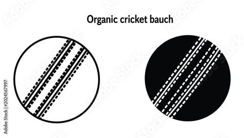 Organic cricket ball with dotted seams illustration