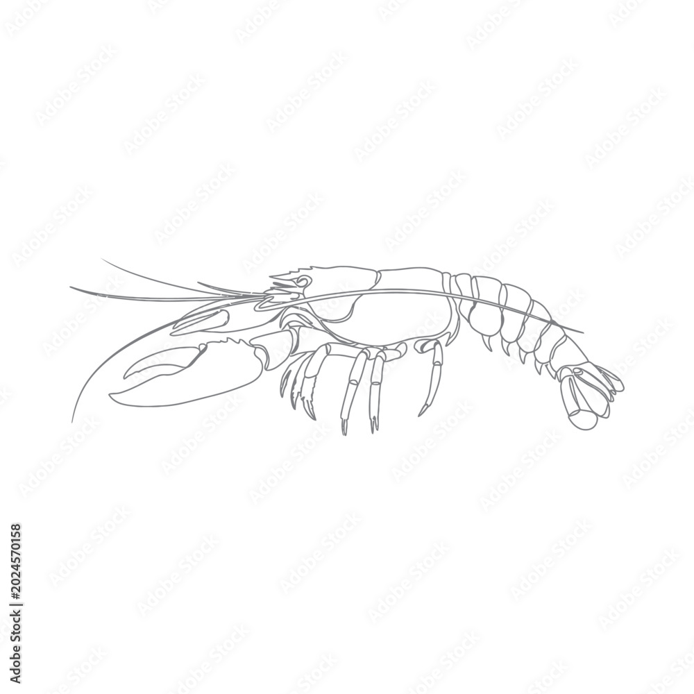 Fototapeta premium A detailed illustration of a lobster from a side view showcasing its body, claws, and legs in a natural aquatic environment.
