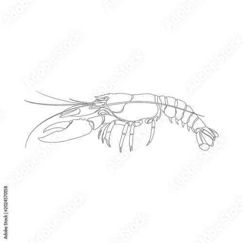 A detailed illustration of a lobster from a side view showcasing its body, claws, and legs in a natural aquatic environment.