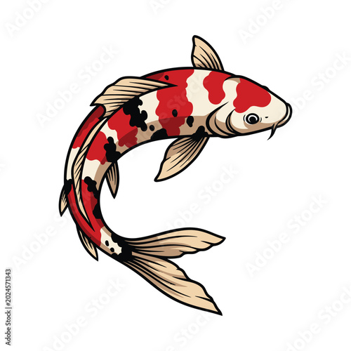Vibrant koi fish swims in water with fins and scales on display