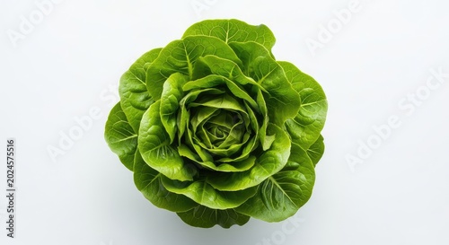 Vibrant green head of lettuce captured from above on a clean white surface, showcasing crisp leaves and natural texture for healthy eating, fresh, healthy, ingredient