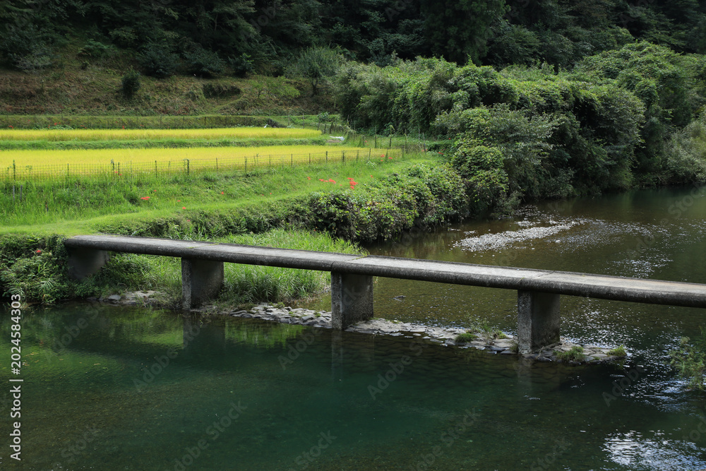 Naklejka premium 高知県中土佐町 高樋沈下橋の風景