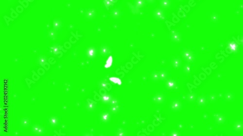 Butterflies flying on green screen with white particles