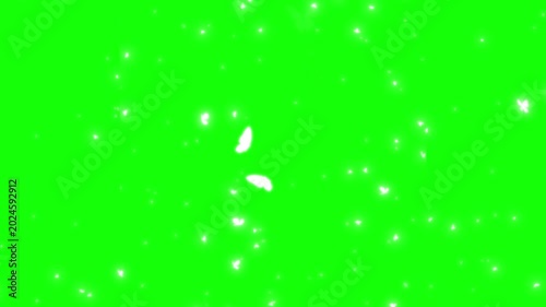 Butterflies flying on green screen with sparkling particles