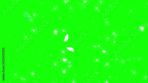 Butterflies and sparkles flying on green screen with blue and white butterflies