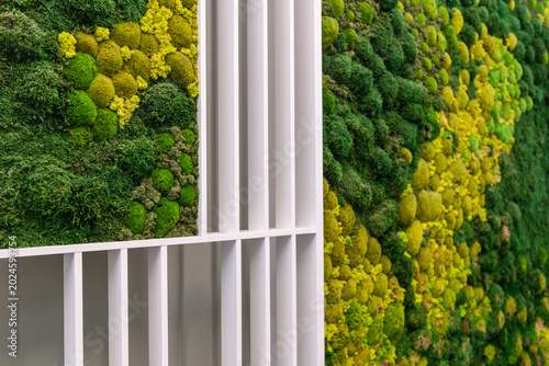 Modern geometric wall panels with preserved moss and lichens in sustainable interior.  biophilic design concept