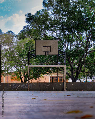 Konstfotografi Cancha de baloncesto rodeada de árboles