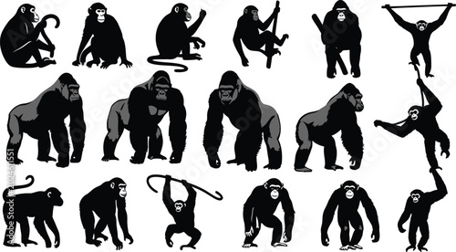 Photography Collection of Wild Primate and Ape Silhouettes Set Featuring Gorilla Monkey Chim