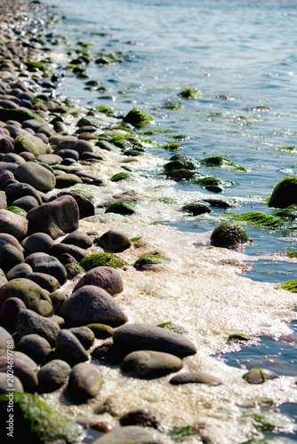 Rocky shoreline with sea foam and algae-covered stones, sunlit coastal landscape with gentle waves