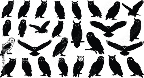 Cuadro en lienzo Spooky Owl Silhouette Vector Set Featuring Various Creepy Bird Poses Flying Wing