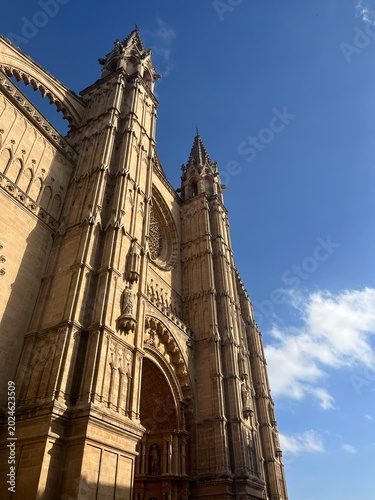 Fotografía st vitus cathedral