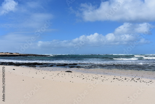 Fuerteventura in January – Volcanic Landscapes, Endless Beaches and Wild Coastlines of the Canary Islands 