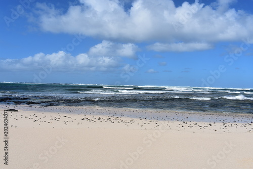 Fuerteventura in January – Volcanic Landscapes, Endless Beaches and Wild Coastlines of the Canary Islands 
