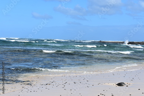 Fuerteventura in January – Volcanic Landscapes, Endless Beaches and Wild Coastlines of the Canary Islands 