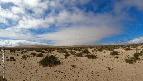 Fuerteventura in January – Volcanic Landscapes, Endless Beaches and Wild Coastlines of the Canary Islands 
