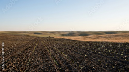 Vast Agricultural Fields Under a Clear Blue Sky.
