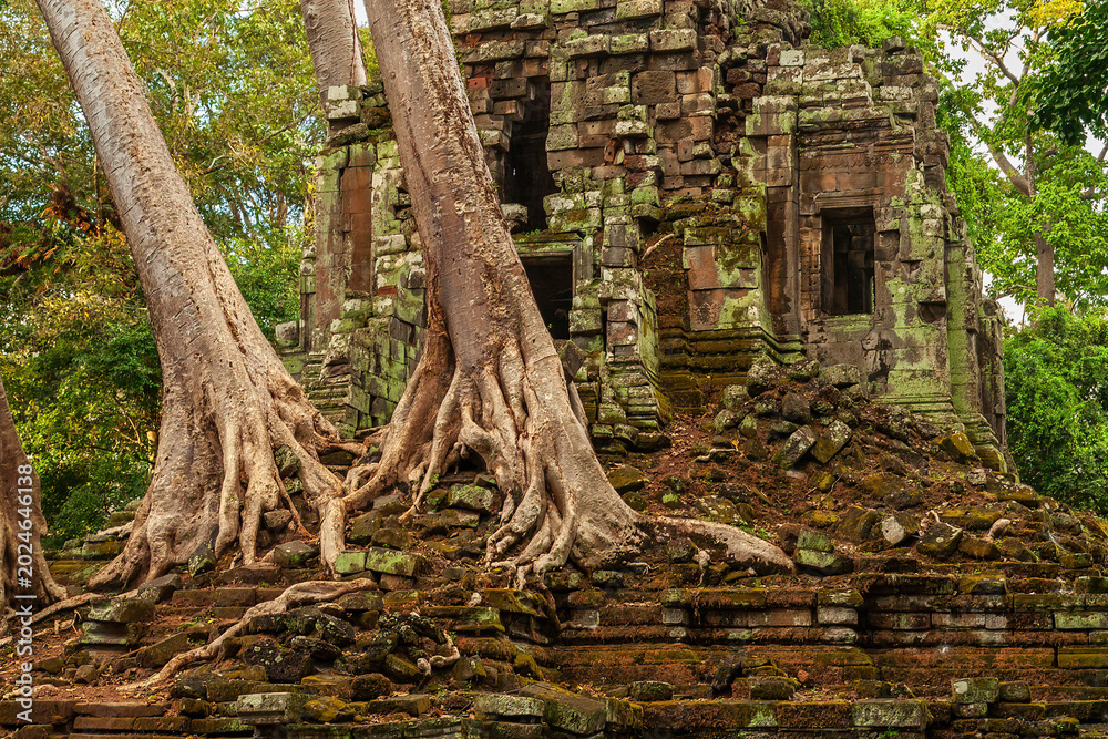 Obraz premium Preah Palilay Temple In Angkor Thom, Cambodia